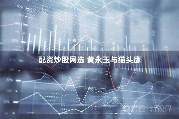 配资炒股网选 黄永玉与猫头鹰